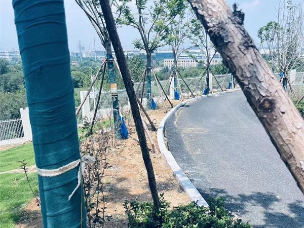 某小区路面沉降加固